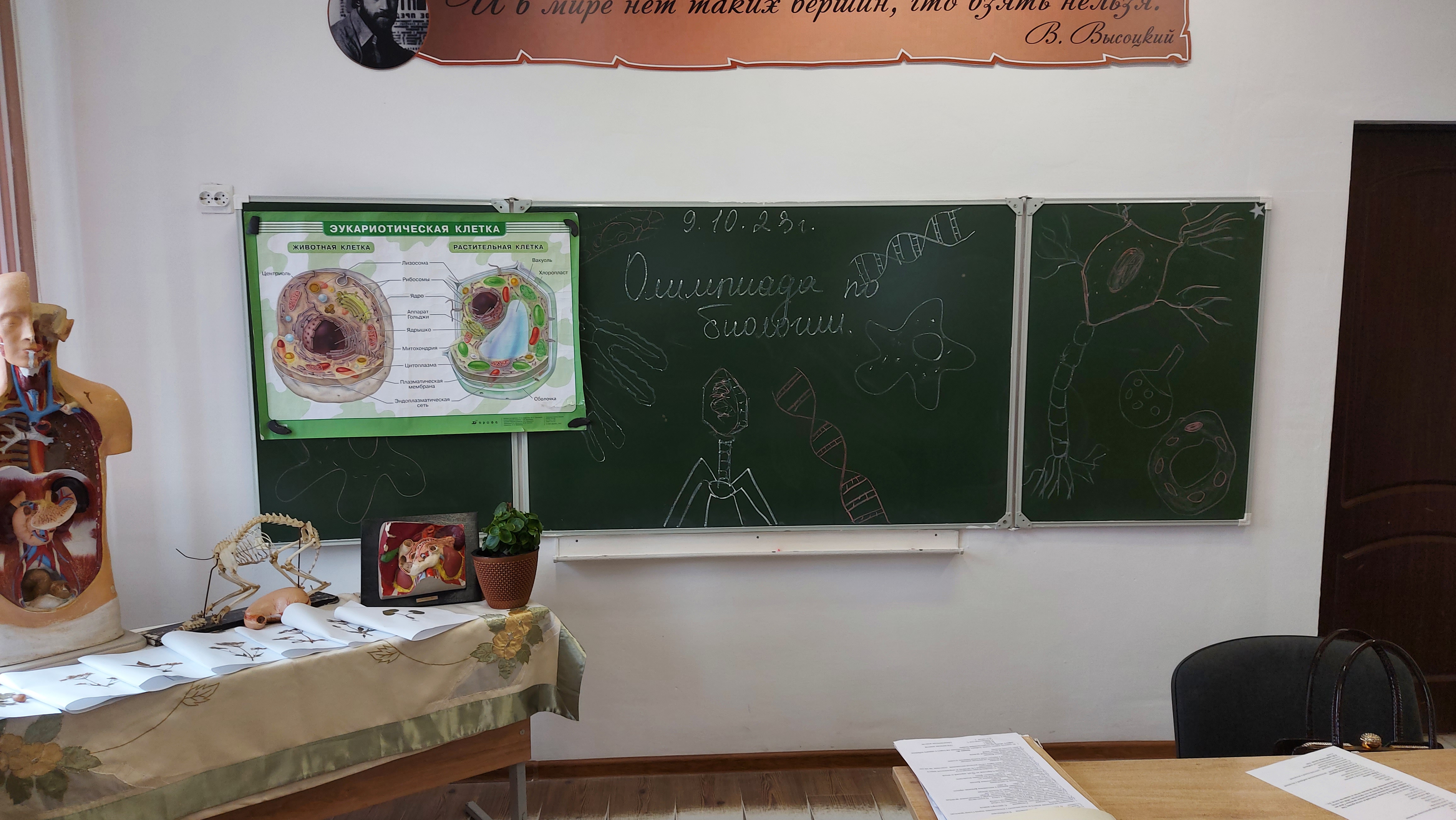 Олимпиада.